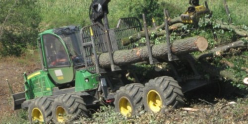 Forwarder culture gains ground in Romania