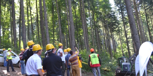 Elmas participated at “Forest Romania 2015”